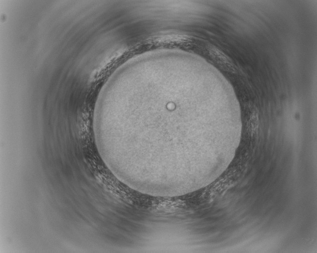 X0000057090824200509091311