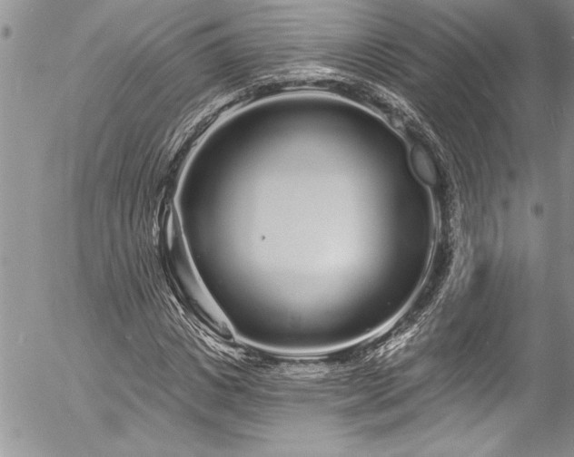 X0000057090825200509091311