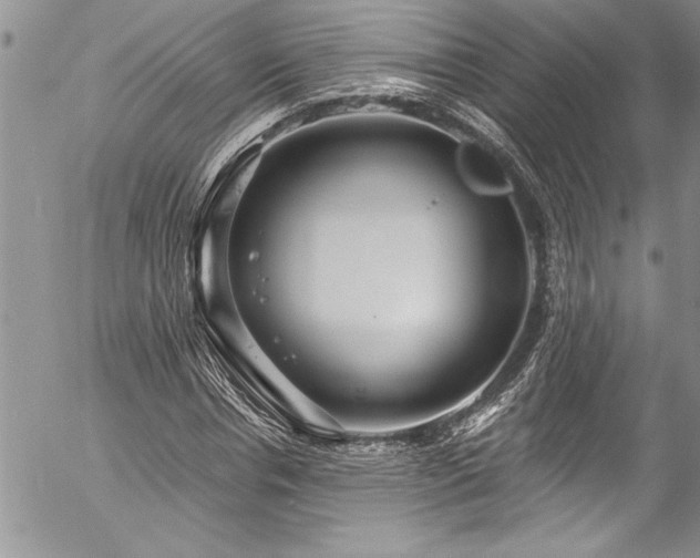 X0000057090826200509091311