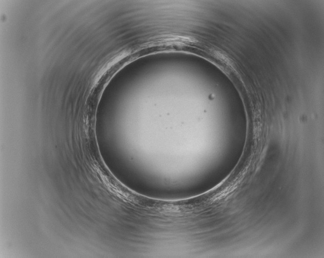 X0000057090827200509091311