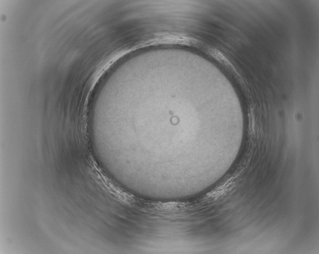 X0000057090828200509091311