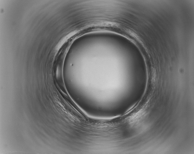 X0000057090829200509091311