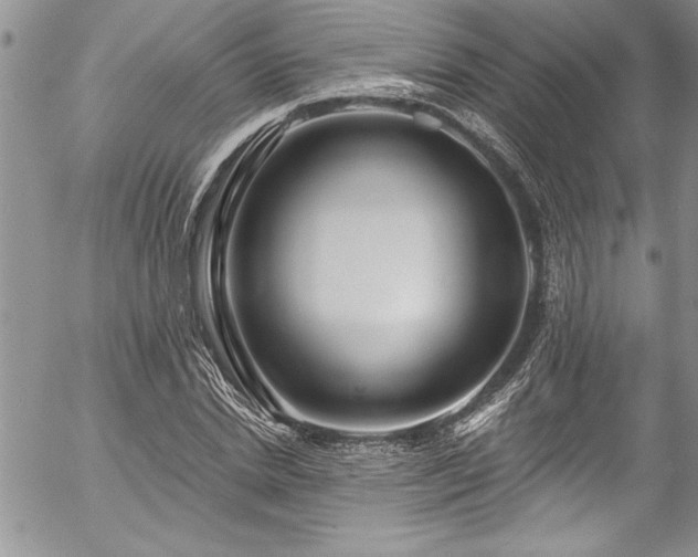 X0000057090830200509091311