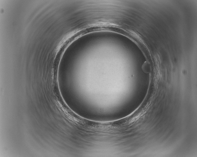 X0000057090831200509091311