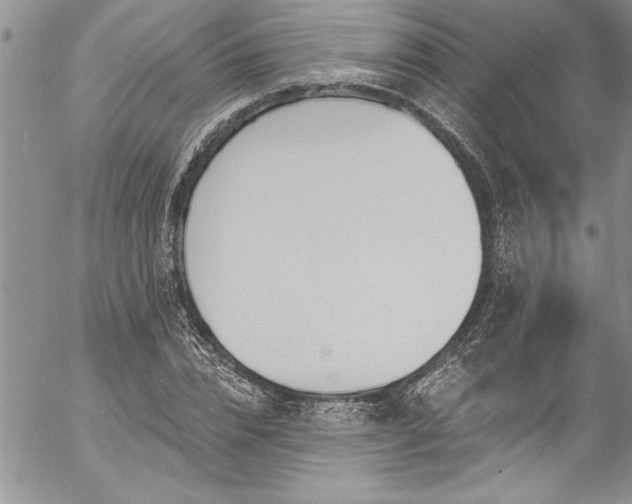 X0000057090832200509091311