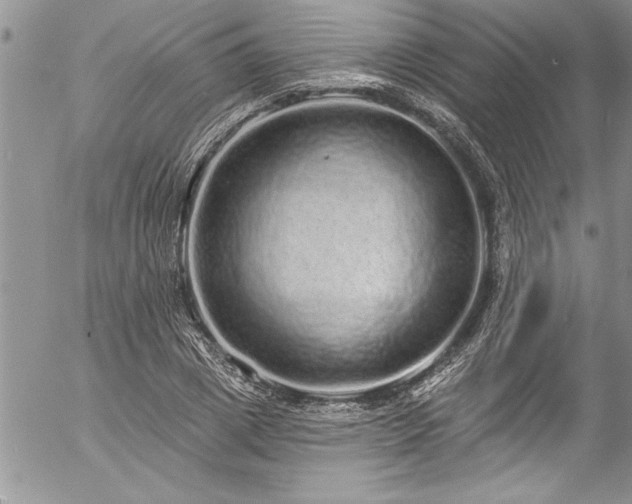 X0000057090833200509091311