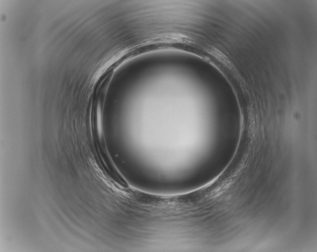 X0000057090834200509091311