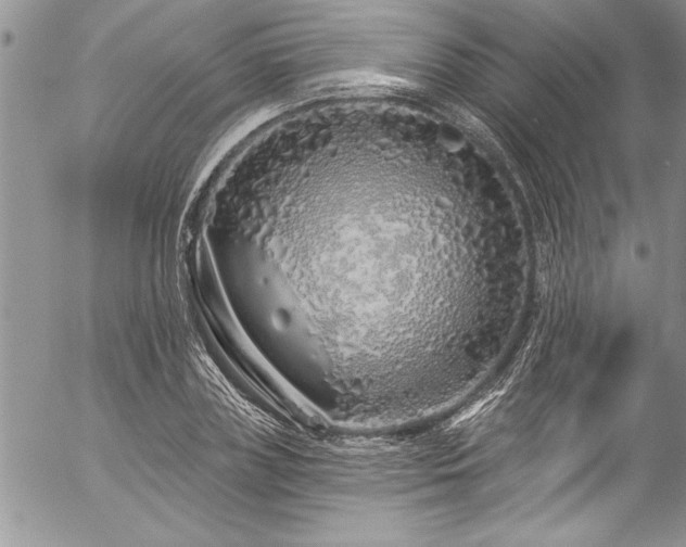 X0000057090835200509091311