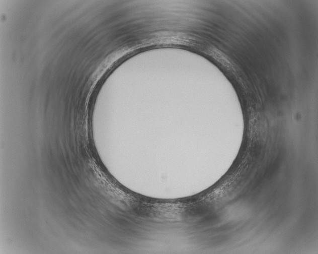 X0000057090836200509091311