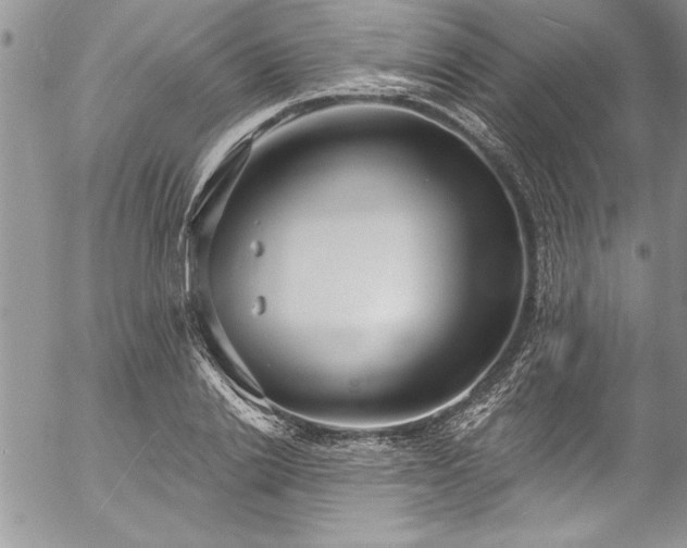 X0000057090838200509091311