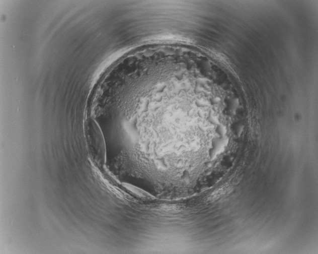 X0000057090839200509091311