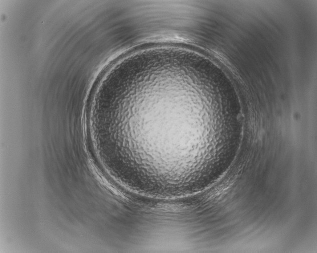 X0000057090840200509091311