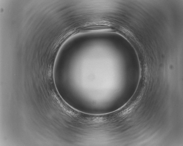 X0000057090841200509091311