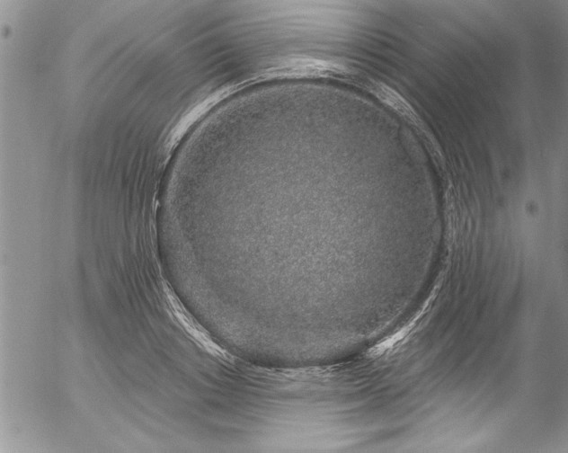 X0000057090842200509091311