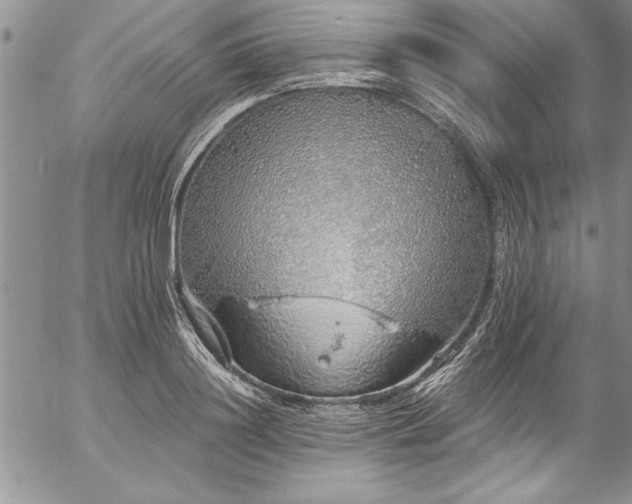 X0000057090844200509091311