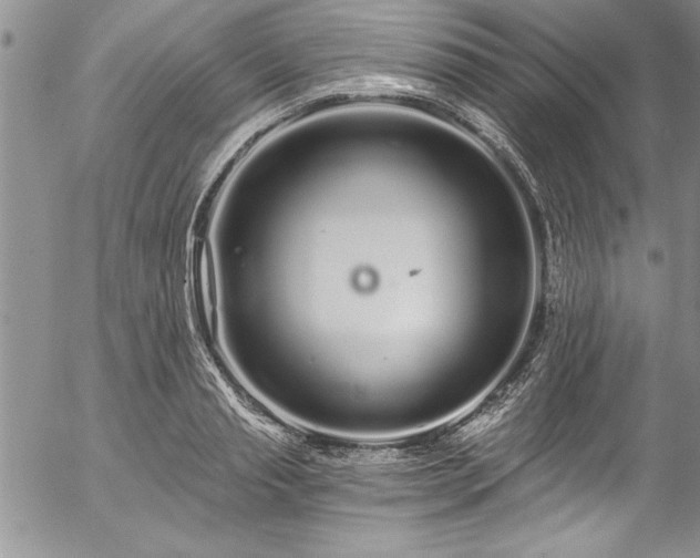 X0000057090845200509091311