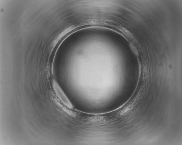 X0000057090846200509091311