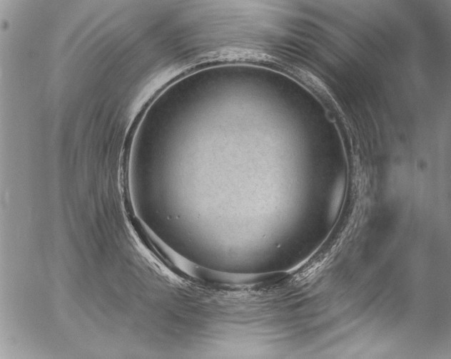 X0000057090847200509091311