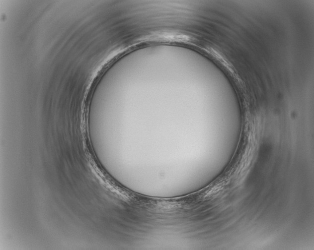 X0000057090848200509091311