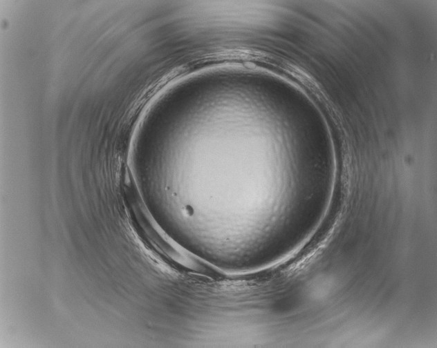 X0000057090849200509091311