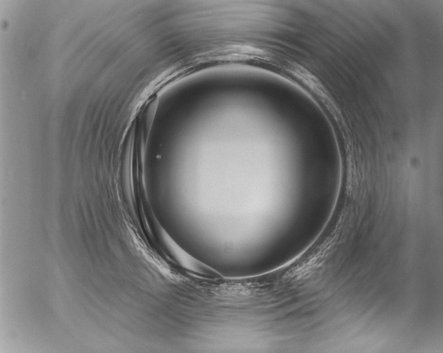 X0000057090850200509091311