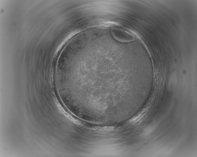 X0000057090851200509091311