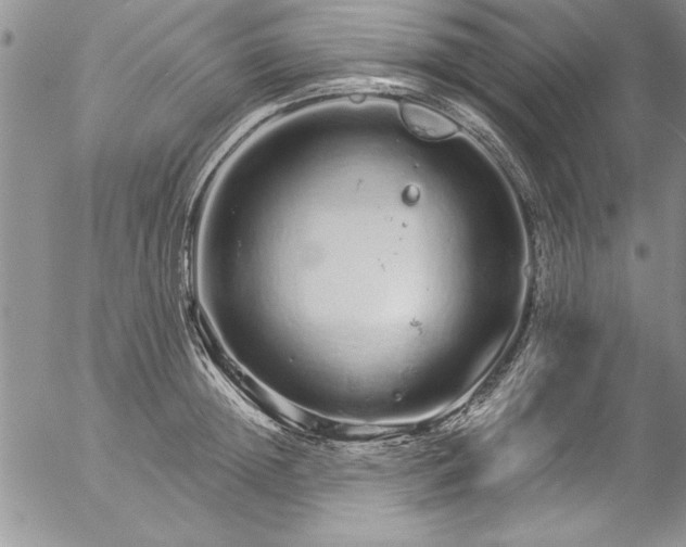 X0000057090852200509091311