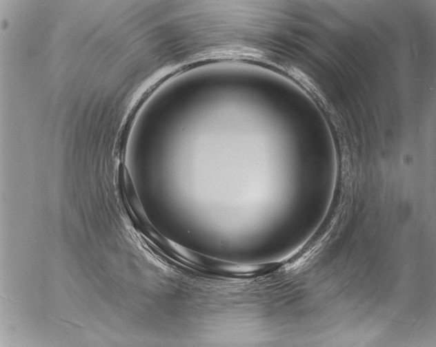 X0000057090854200509091311