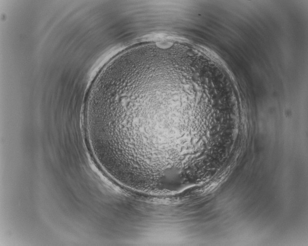 X0000057090855200509091311