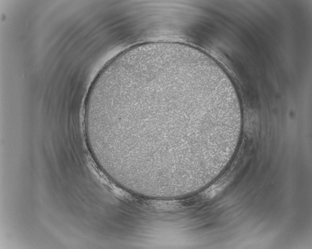 X0000057090856200509091311