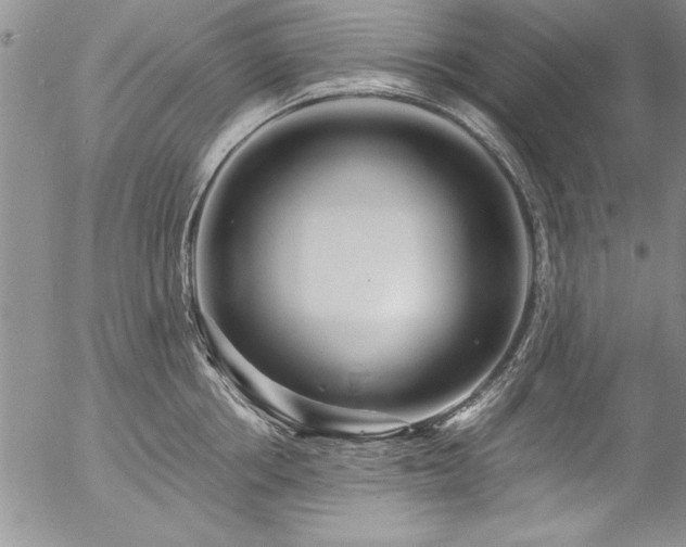 X0000057090858200509091311