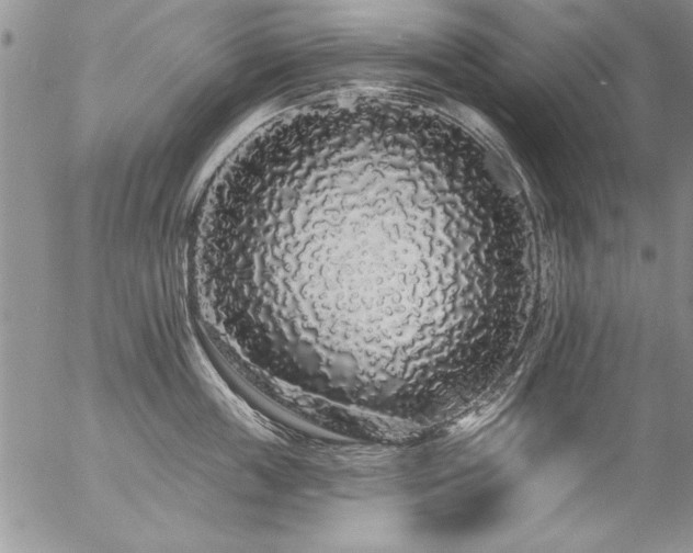 X0000057090859200509091311