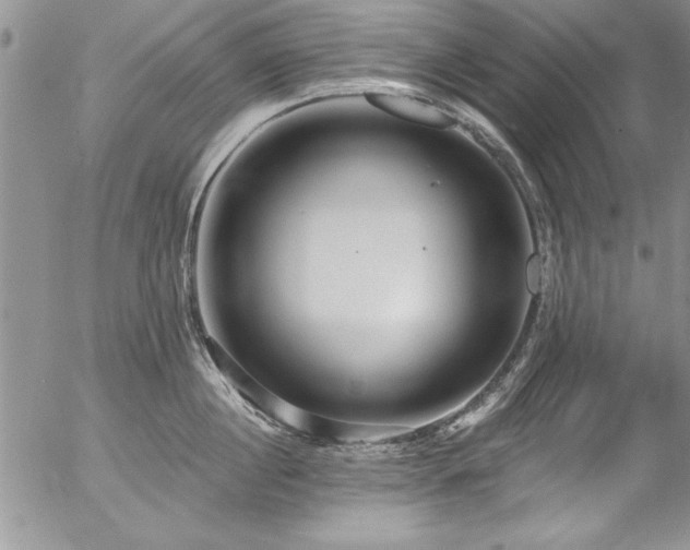 X0000057090860200509091311