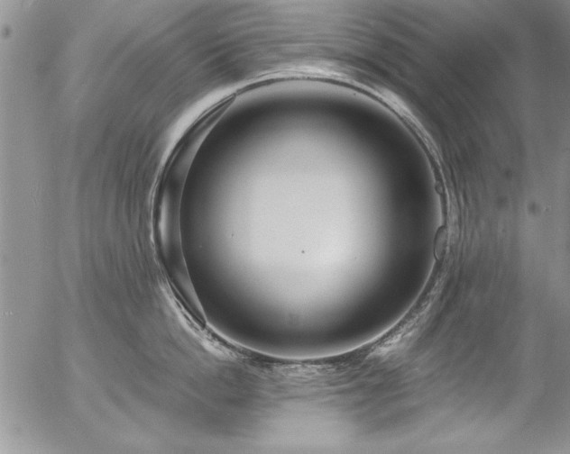 X0000057090862200509091312