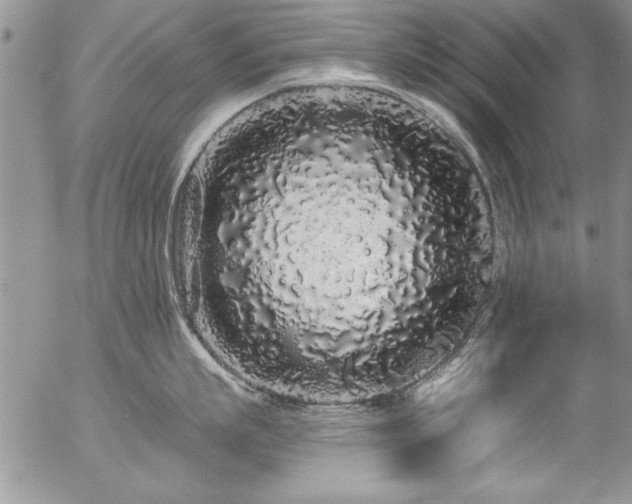 X0000057090863200509091312