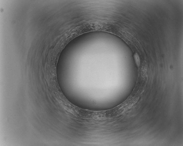 X0000057090865200509091311