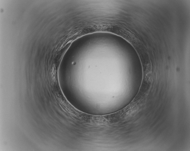 X0000057090866200509091311