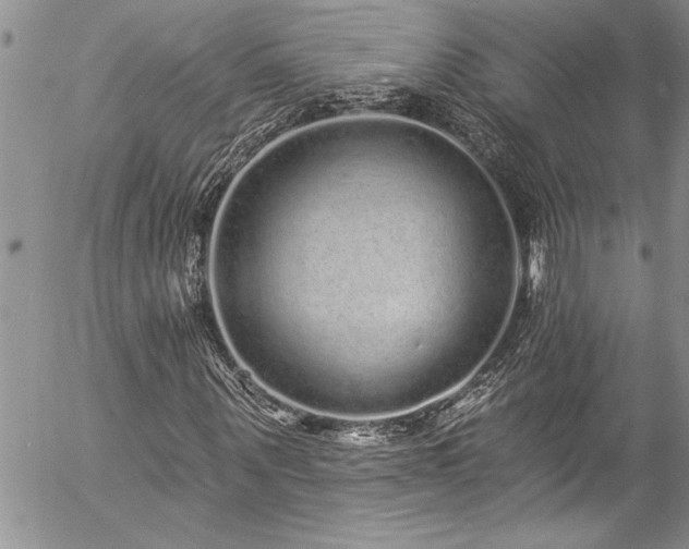 X0000057090867200509091311