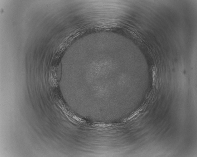 X0000057090868200509091311