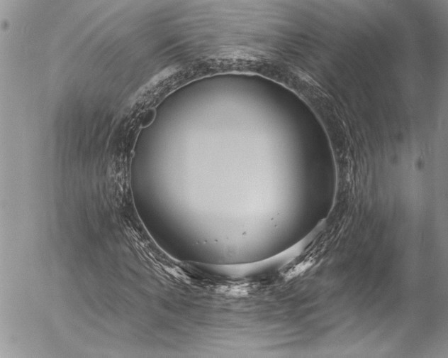 X0000057090870200509091311