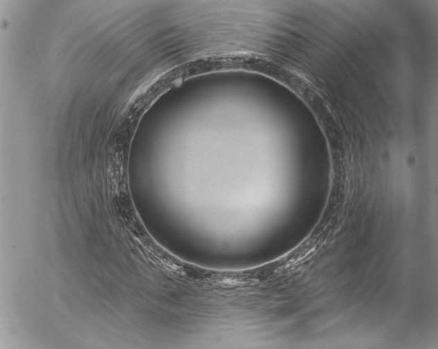 X0000057090871200509091311