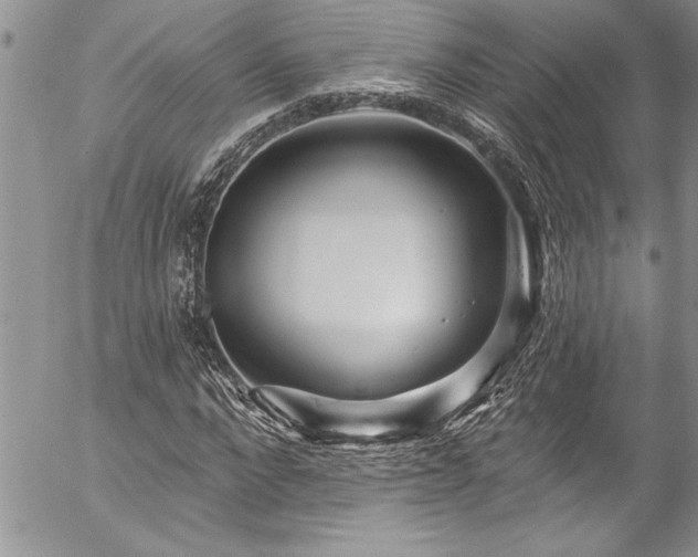 X0000057090872200509091311