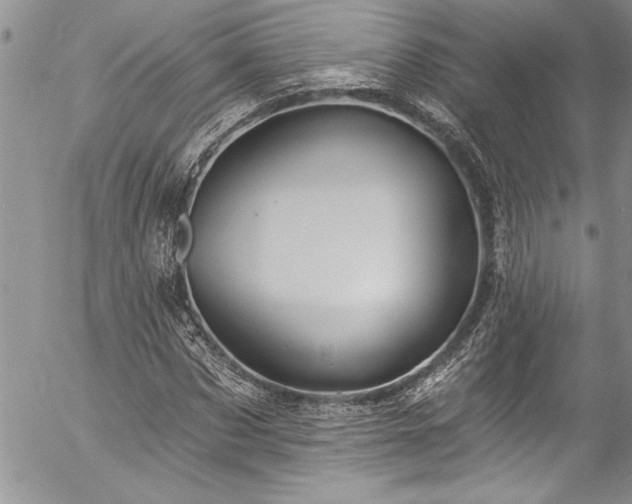 X0000057090873200509091311