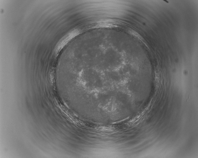 X0000057090874200509091311