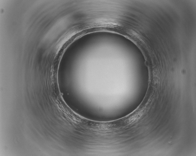 X0000057090875200509091311