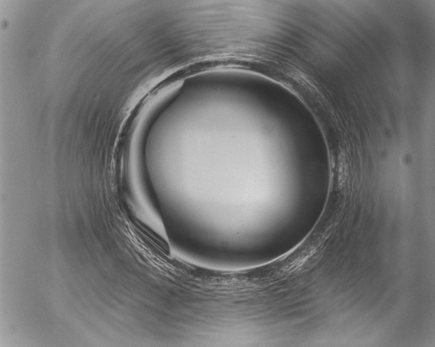 X0000057090876200509091311