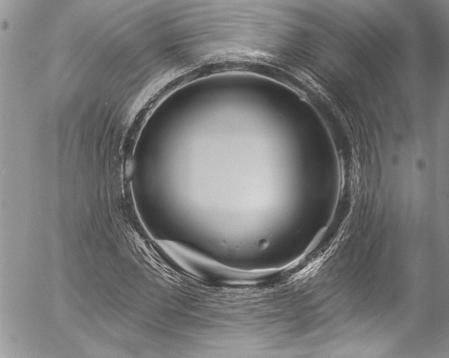 X0000057090877200509091311