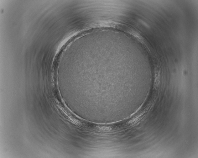 X0000057090878200509091311