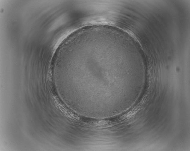 X0000057090879200509091311