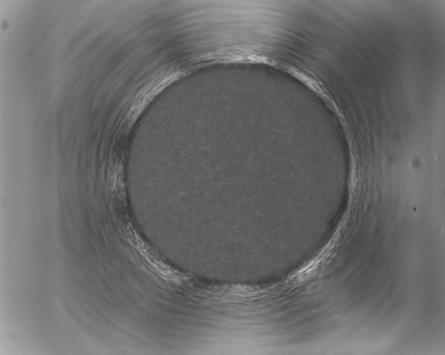 X0000057090881200509091311